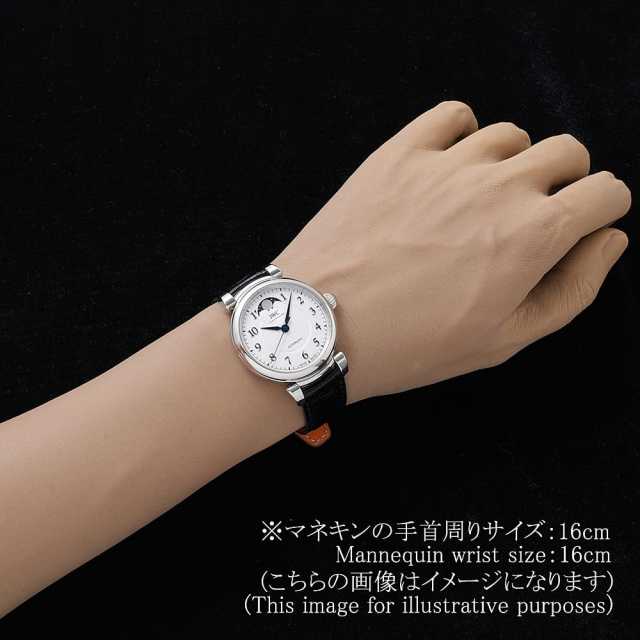 IWC ダ・ヴィンチ IW459306 メンズ 中古