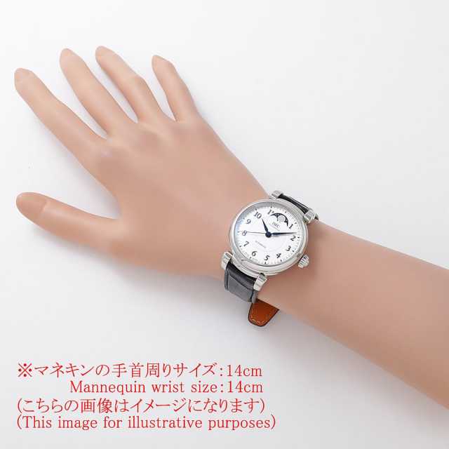 IWC ダ・ヴィンチ IW459306 メンズ 中古
