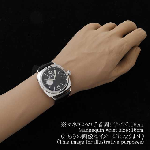 Panerai Radiomir PAM00141 Men's Used
