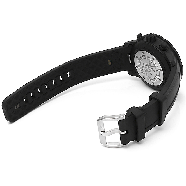 アクアタイマー クロノグラフ ガラパゴスアイランド IW376705 サブ画像３