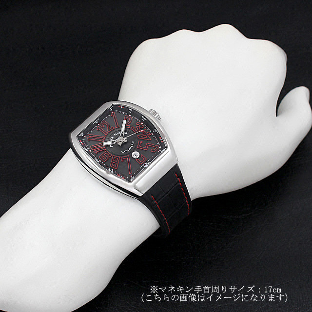 ヴァンガード 日本限定モデル V45 SCDT J ACNR サブ画像３