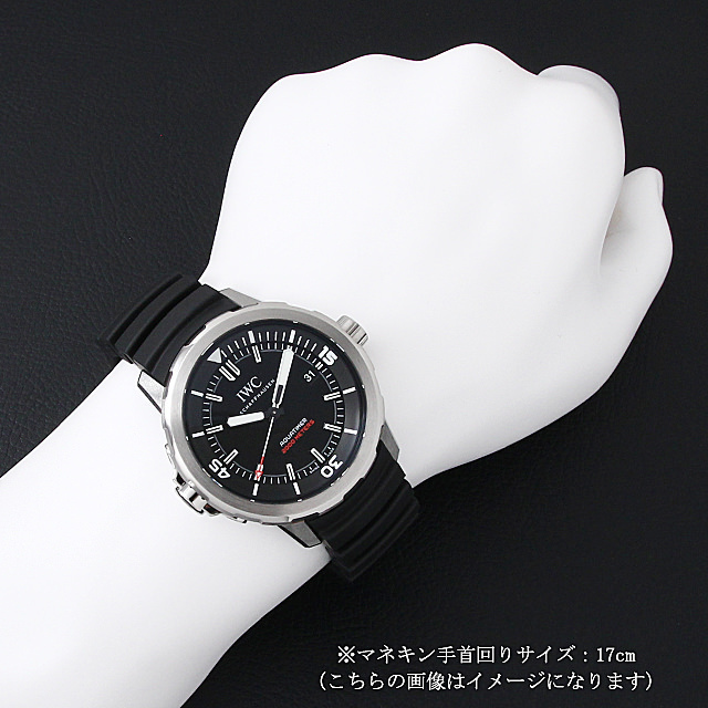 アクアタイマー オートマティック 2000 350本限定 IW329101 サブ画像４