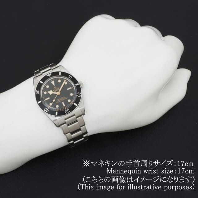 79000N-0001 ブラック TUDOR（チューダー）ブラックベイ54 中古