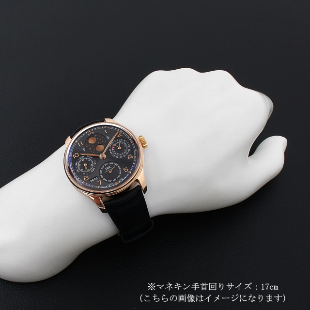 ポルトギーゼ パーペチュアルカレンダー IW503404 サブ画像４