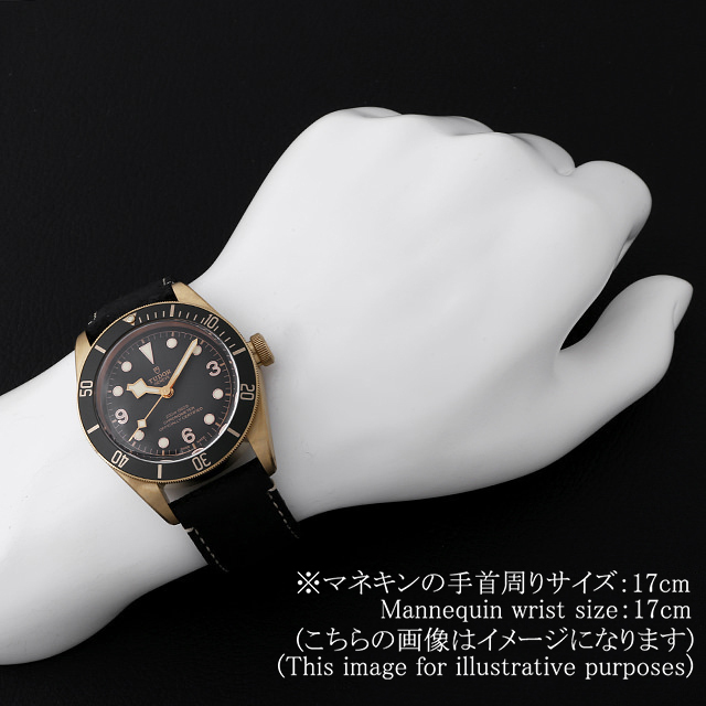 79250BA ブラック TUDOR（チューダー）ブラックベイ ブロンズ 中古  