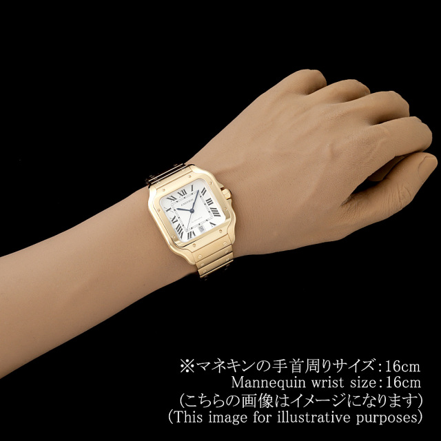 Cartier Santos WGSA0029 Men's Used