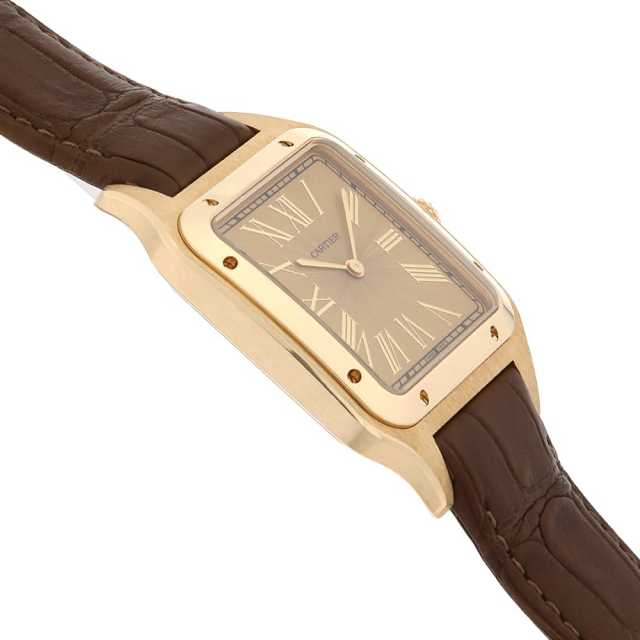 Cartier Santos WGSA0111 Men's Used