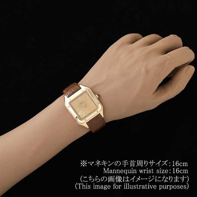 Cartier Santos WGSA0111 Men's Used