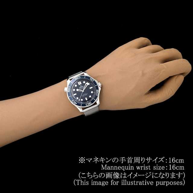 オメガ シーマスター 210.30.42.20.03.002 メンズ 中古