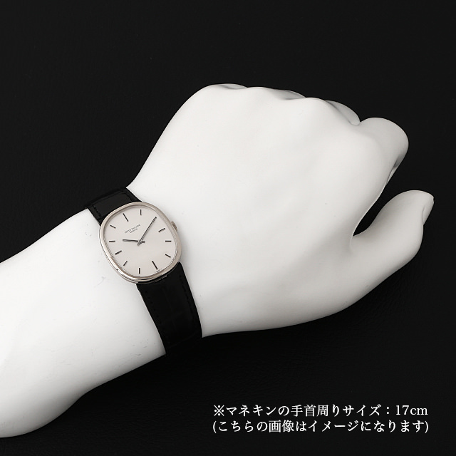 ゴールデンエリプス 3848G サブ画像３