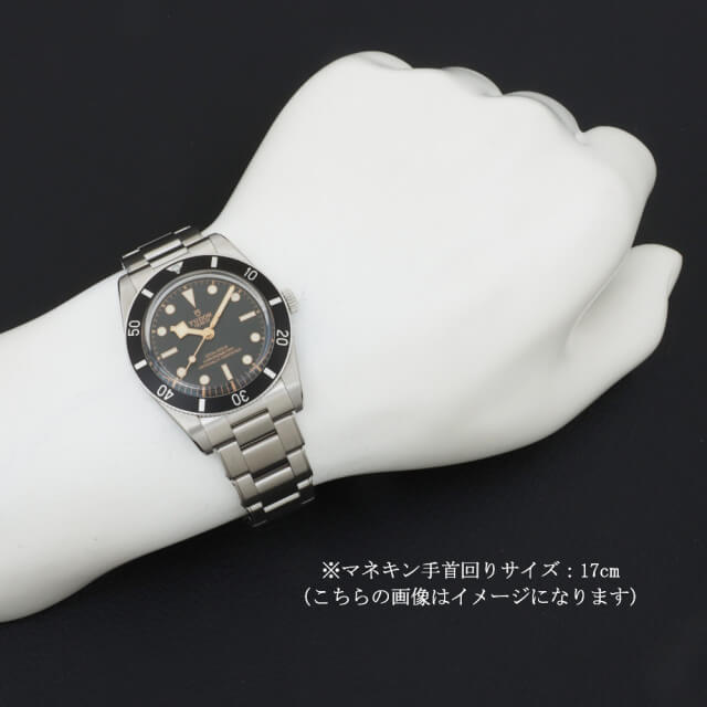 79000N-0001 ブラック TUDOR（チューダー）ブラックベイ54 中古 | 東京  