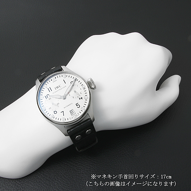 ビッグパイロットウォッチ トリビュート トゥ ジャパン2009 日本限定100本 IW500418 サブ画像４