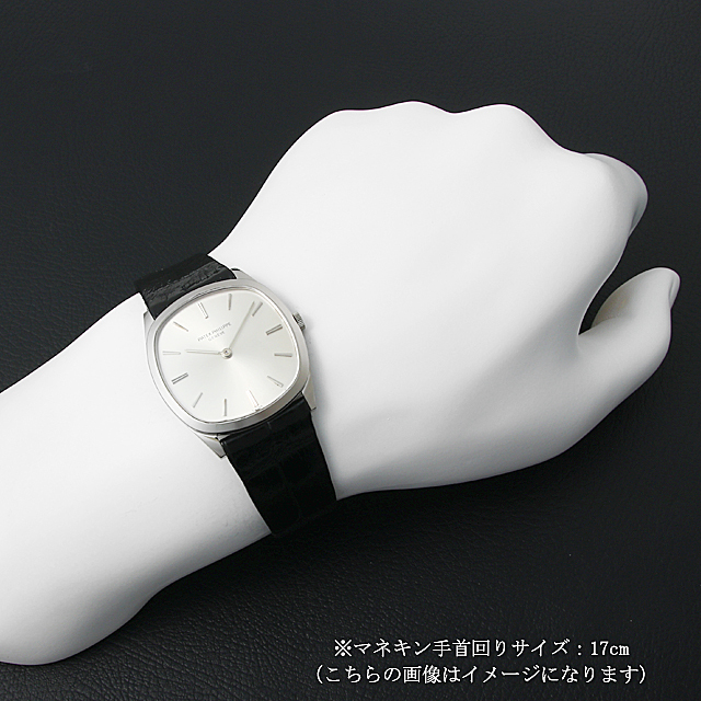 エリプス 3544G サブ画像３