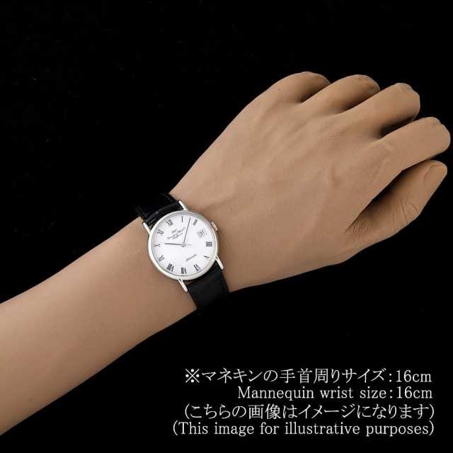 IWC Portofino IW351334 Men's Used