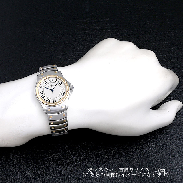 サントス クーガー LM W20036R3 サブ画像３