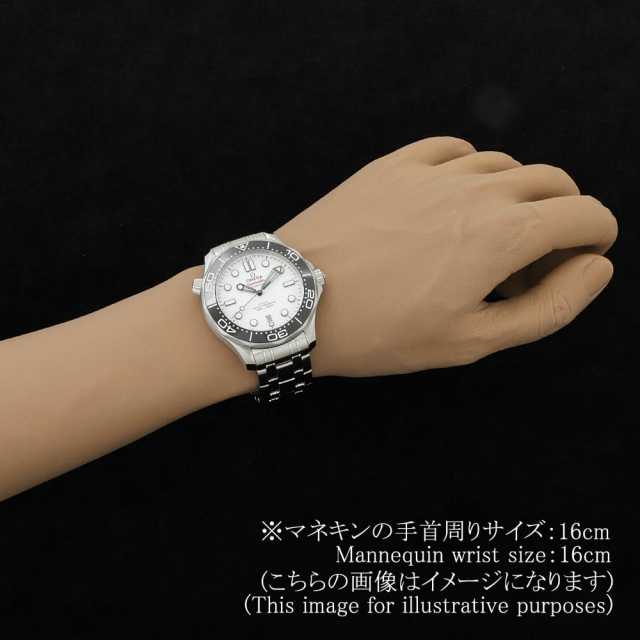オメガ シーマスター 210.30.42.20.04.001 メンズ 中古