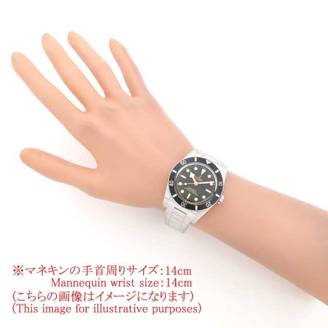 79000N-0001 ブラック TUDOR（チューダー）ブラックベイ54 中古 | 東京