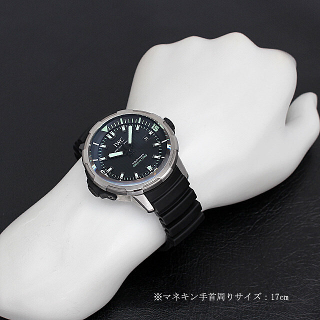 アクアタイマー オートマティック 2000 IW358002 サブ画像５