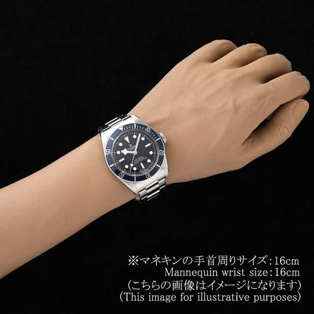 TUDOR Black Bay 79230B Men's Used