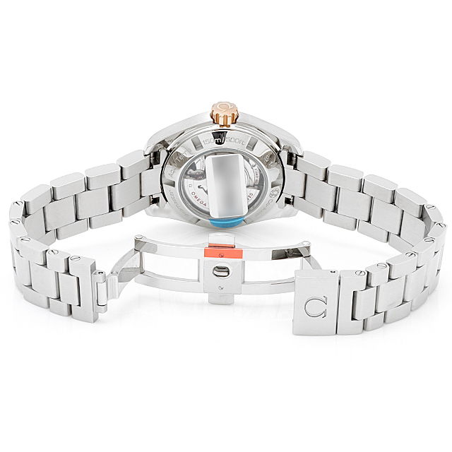 シーマスター アクアテラ コーアクシャル 30MM 231.20.30.20.06.003 サブ画像３