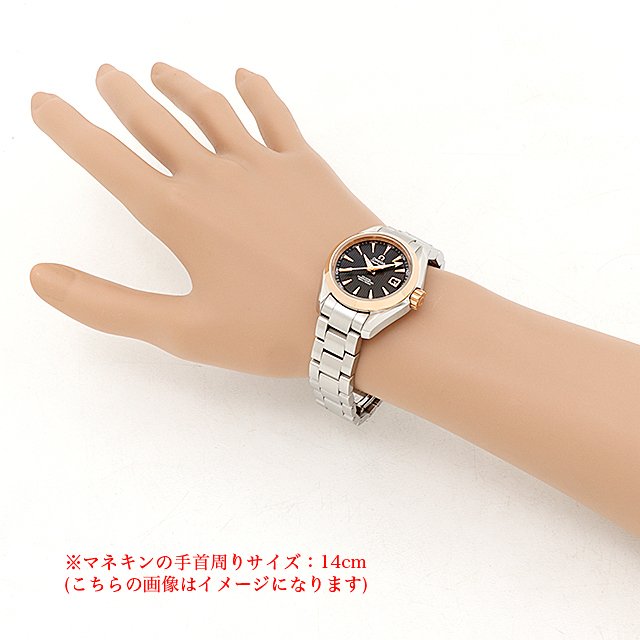 シーマスター アクアテラ コーアクシャル 30MM 231.20.30.20.06.003 サブ画像４