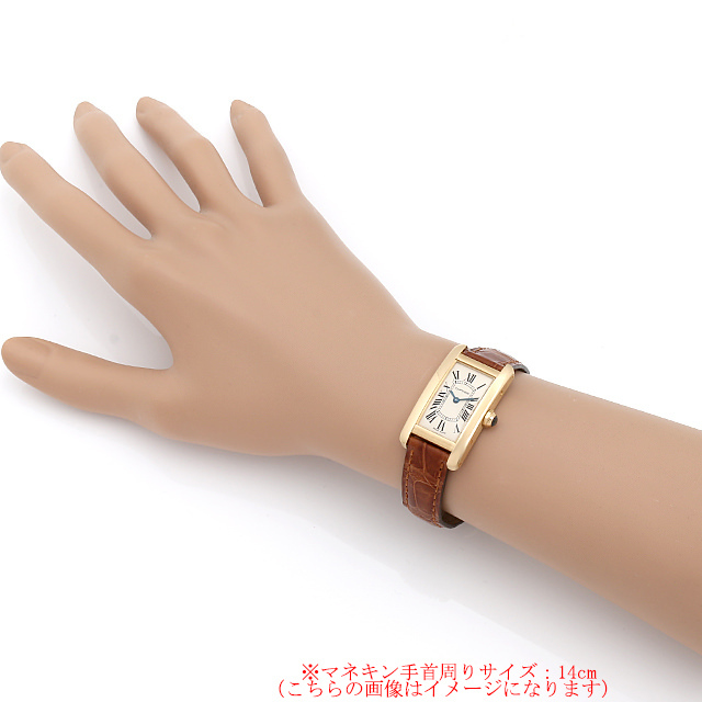 タンクアメリカン SM W2601556 サブ画像３