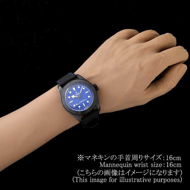 チューダー ブラックベイ 79210CNU メンズ 中古