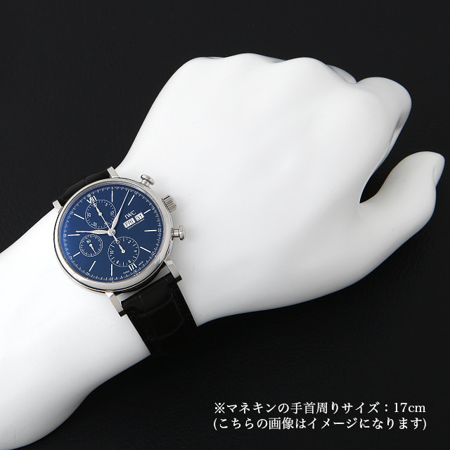 【正規品 】ブッフォン 2006イタリア代表優勝モデル 3つ星 新品未使用 JCC | ジャパンコインキャビネット / イタリア 1931R(IX) 100