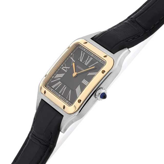 Cartier Santos W2SA0015 Men's Used
