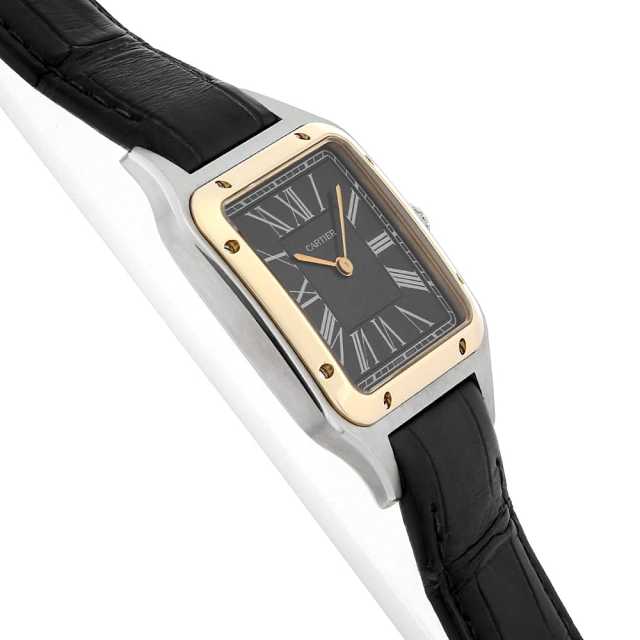 Cartier Santos W2SA0015 Men's Used