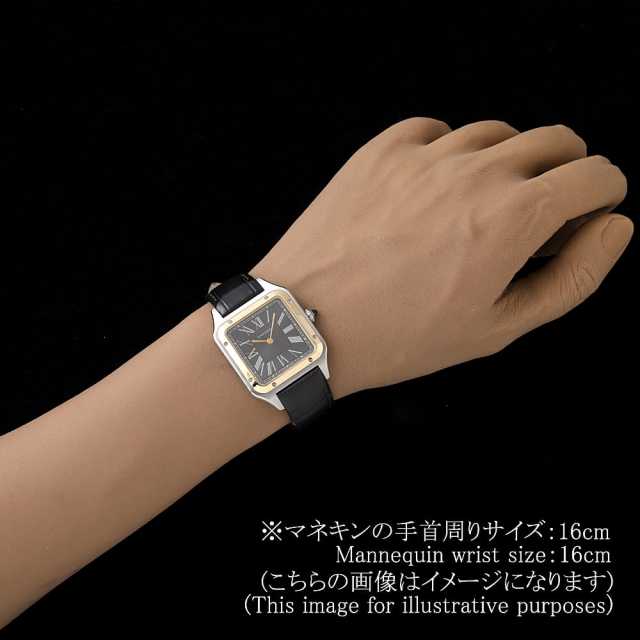 Cartier Santos W2SA0015 Men's Used