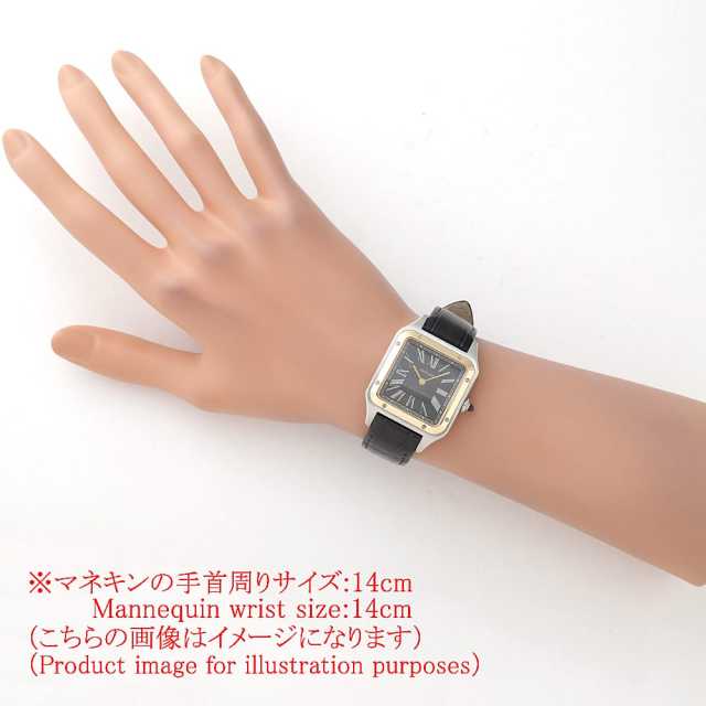 Cartier Santos W2SA0015 Men's Used
