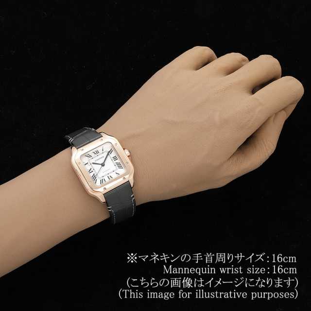 卡地亚山度士WGSA0012 男子（男女通用）二手腕表
