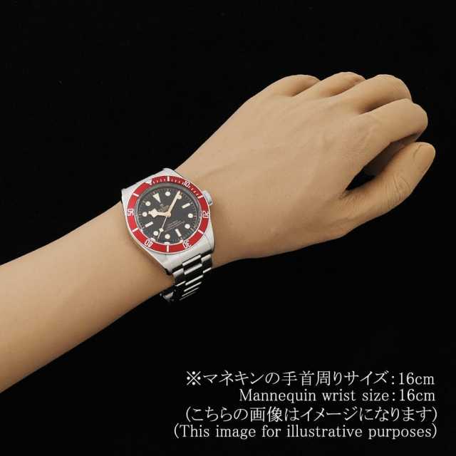 チューダー ブラックベイ 79230R メンズ 中古