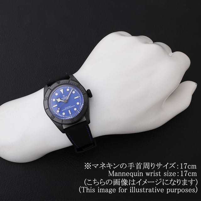 チューダー ブラックベイ 79210CNU メンズ 中古