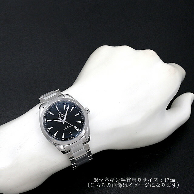 220.10.41.21.01.001 ブラック OMEGA（オメガ）シーマスター  