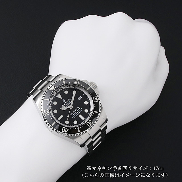 ディープシー 126660 サブ画像４