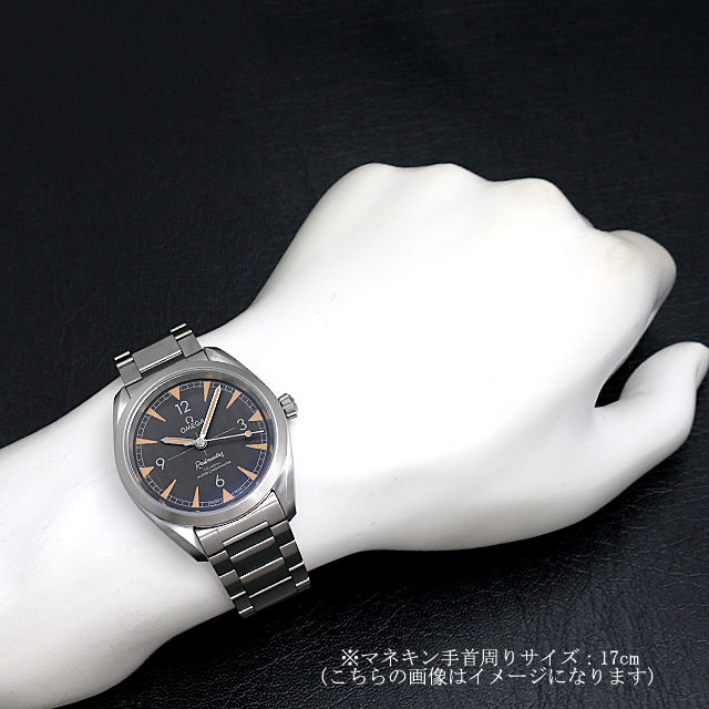 220.10.40.20.01.001 OMEGA（オメガ） シーマスター レイルマスター  