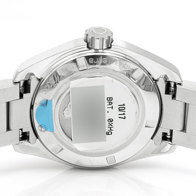 シーマスター アクアテラ 150m 231.10.30.60.06.001 サブ画像２