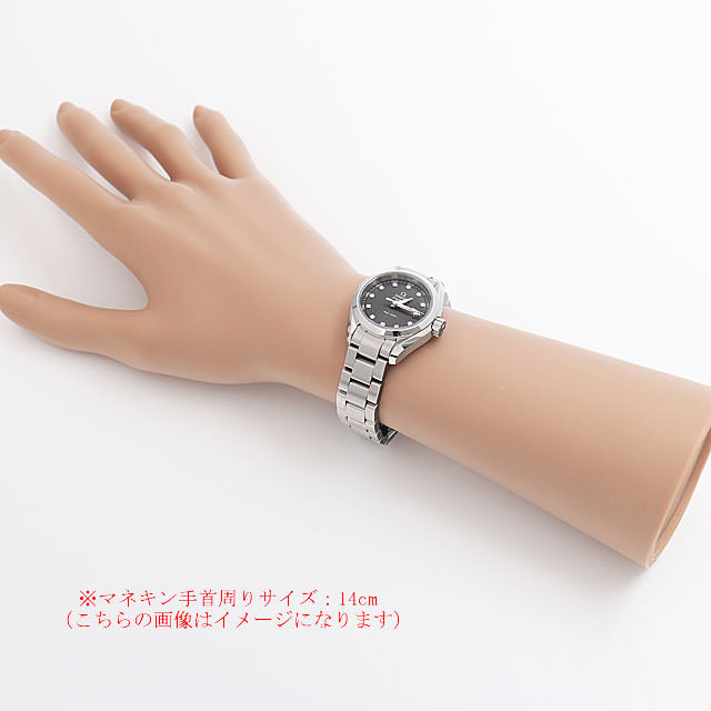 シーマスター アクアテラ クォーツ 231.10.30.60.56.001 サブ画像３