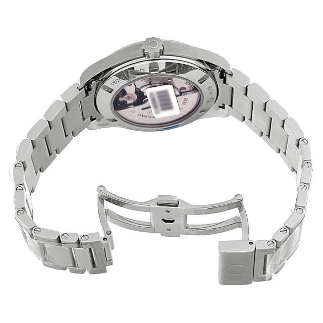 シーマスター アクアテラ 15000ガウス 231.10.42.21.01.002 サブ画像３