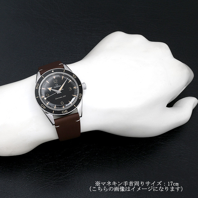 234.32.41.21.01.001 OMEGA（オメガ） シーマスター 300  