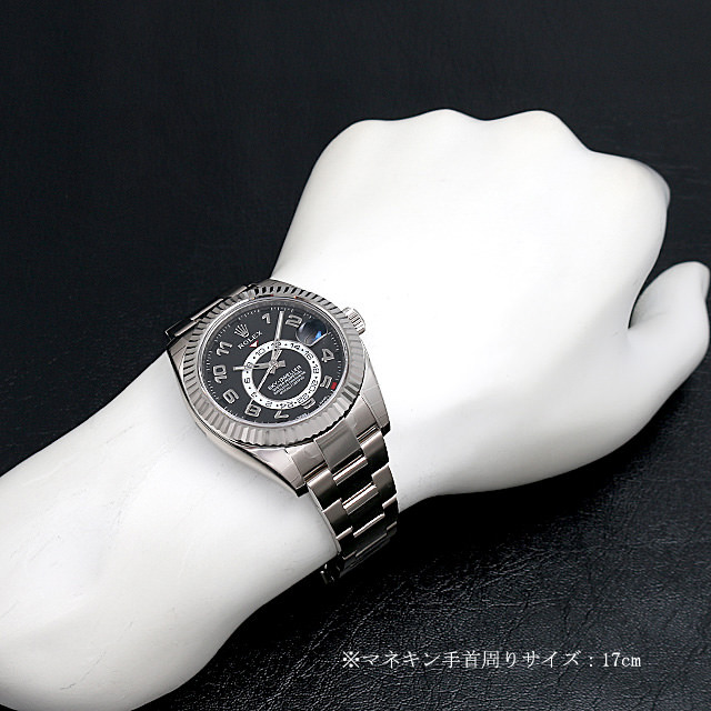 スカイドゥエラー 326939 サブ画像３