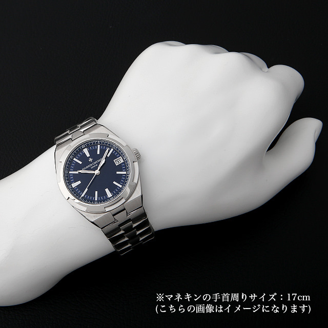 オーヴァーシーズ 4500V/110A-B128 サブ画像４