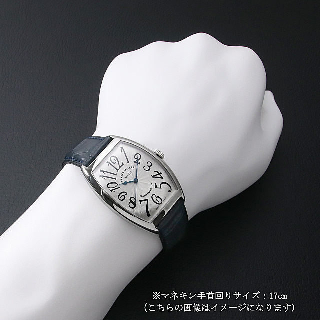 トノーカーベックス 6850B SC AC サブ画像３