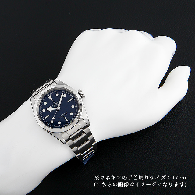 ヘリテージ ブラックベイ41 79540 サブ画像３