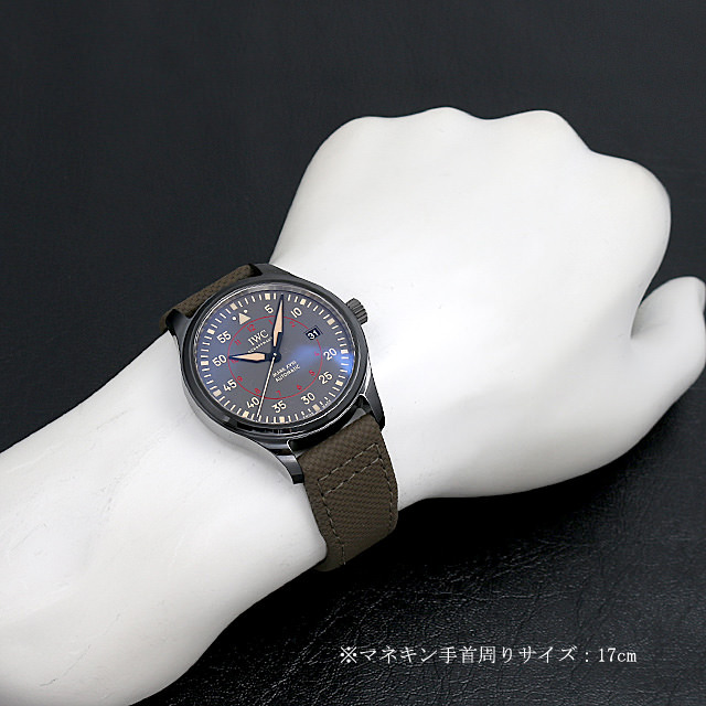パイロットウォッチ マーク18 トップガン・ミラマー IW324702 サブ画像３