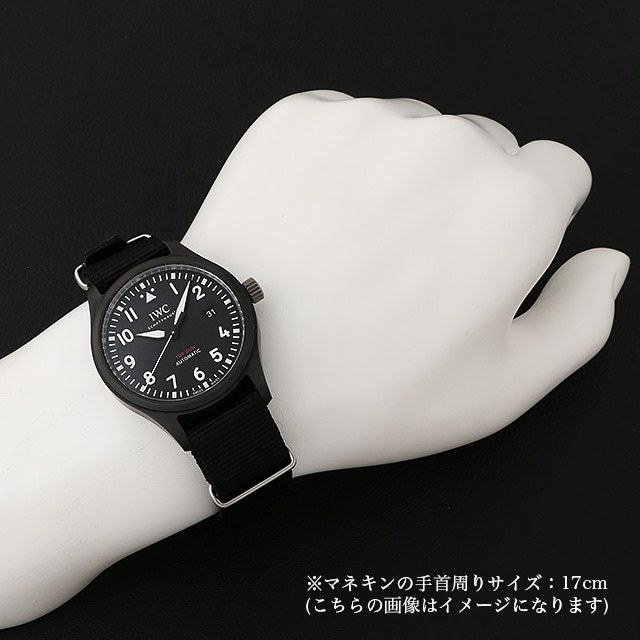 パイロットウォッチ オートマティック トップガン IW326901 サブ画像３