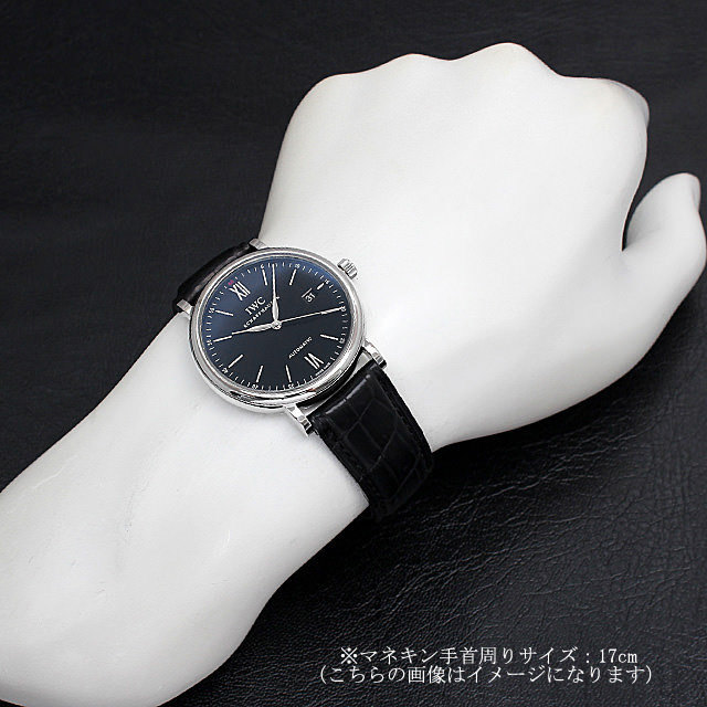ポートフィノ IW356502 サブ画像３