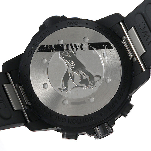 アクアタイマー クロノグラフ ガラパゴスアイランド IW379502 サブ画像２